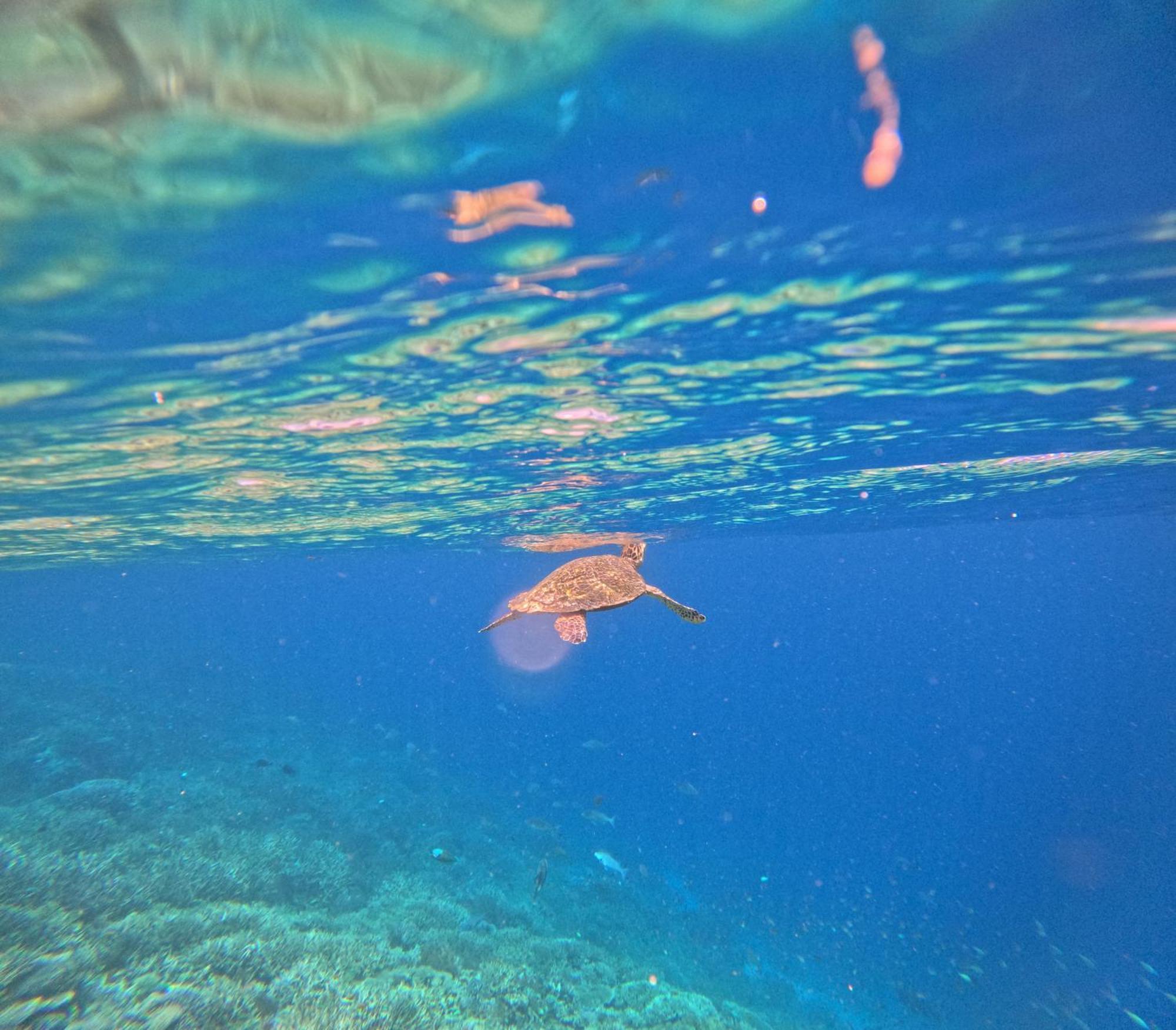 Amoryg Resort Raja Ampat Pulau Mansuar Exterior foto